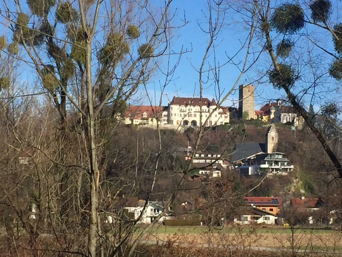 Wolfˋs Apartment Neubeuern